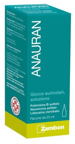 ANAURAN*GTT AURIC FL 25ML
