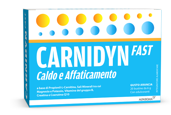 CARNIDYN FAST 20BUST
