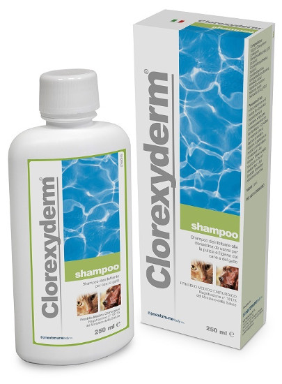 CLOREXYDERM SHAMPOO 250ML
